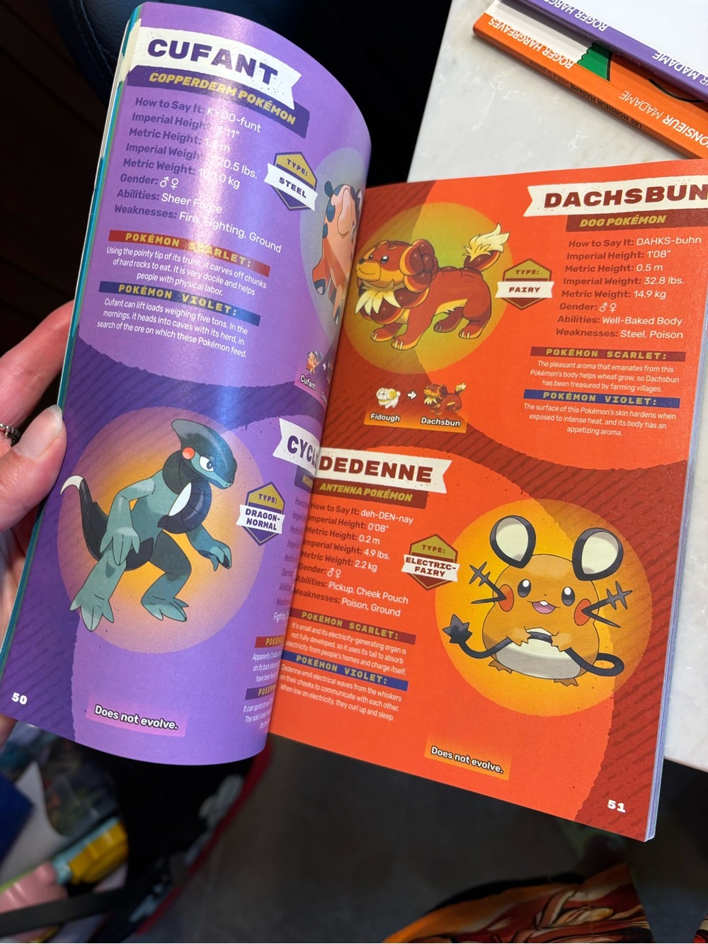 Pokemon book - Picture 3 of 3